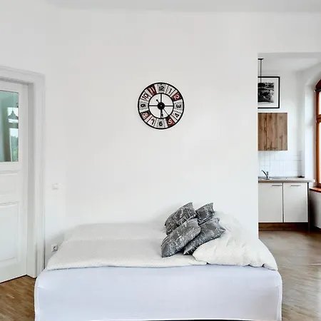 1-raum-wohnung Zentral Gelegen Appartamento