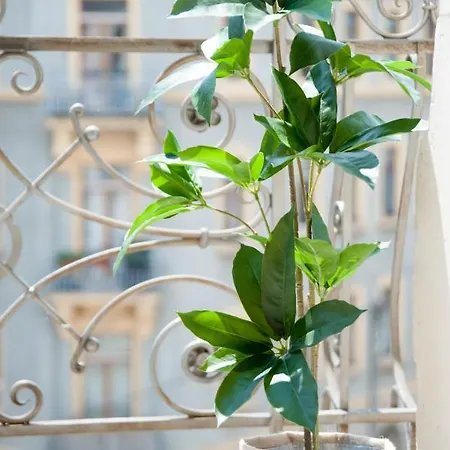 1-raum-wohnung Zentral Gelegen *