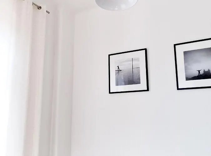 Apartment 1-raum-wohnung Zentral Gelegen Dresden